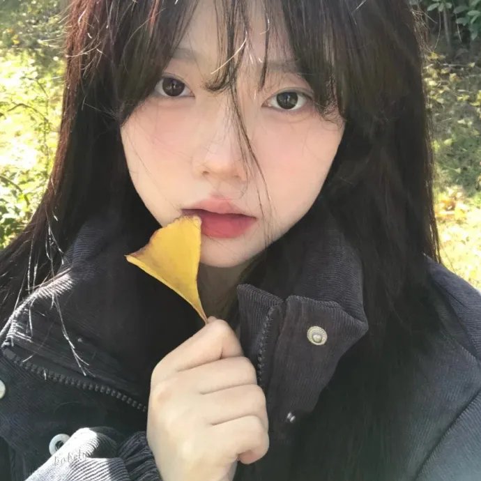 美人与美人